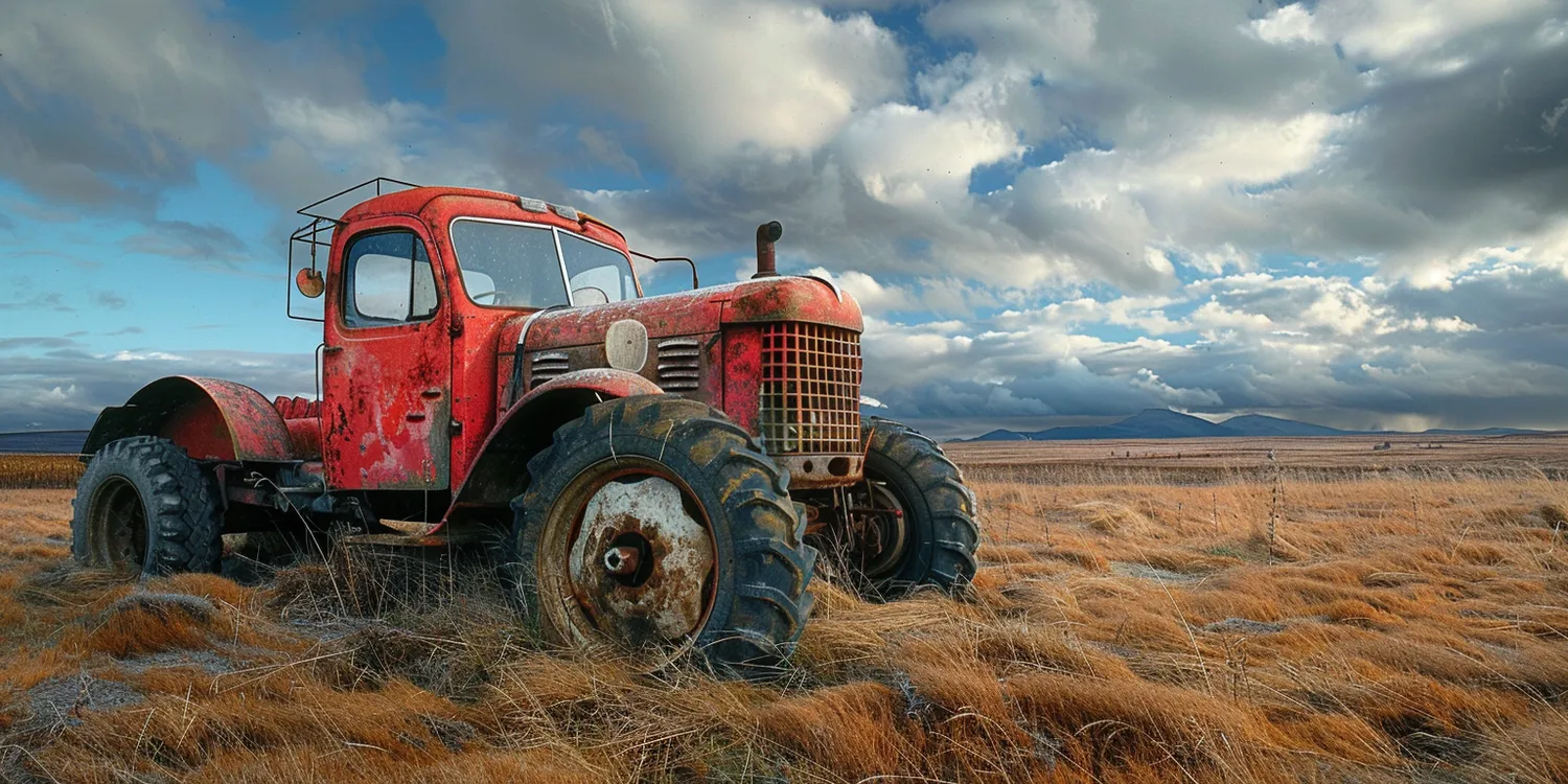 Kiedy trawa z rolki?