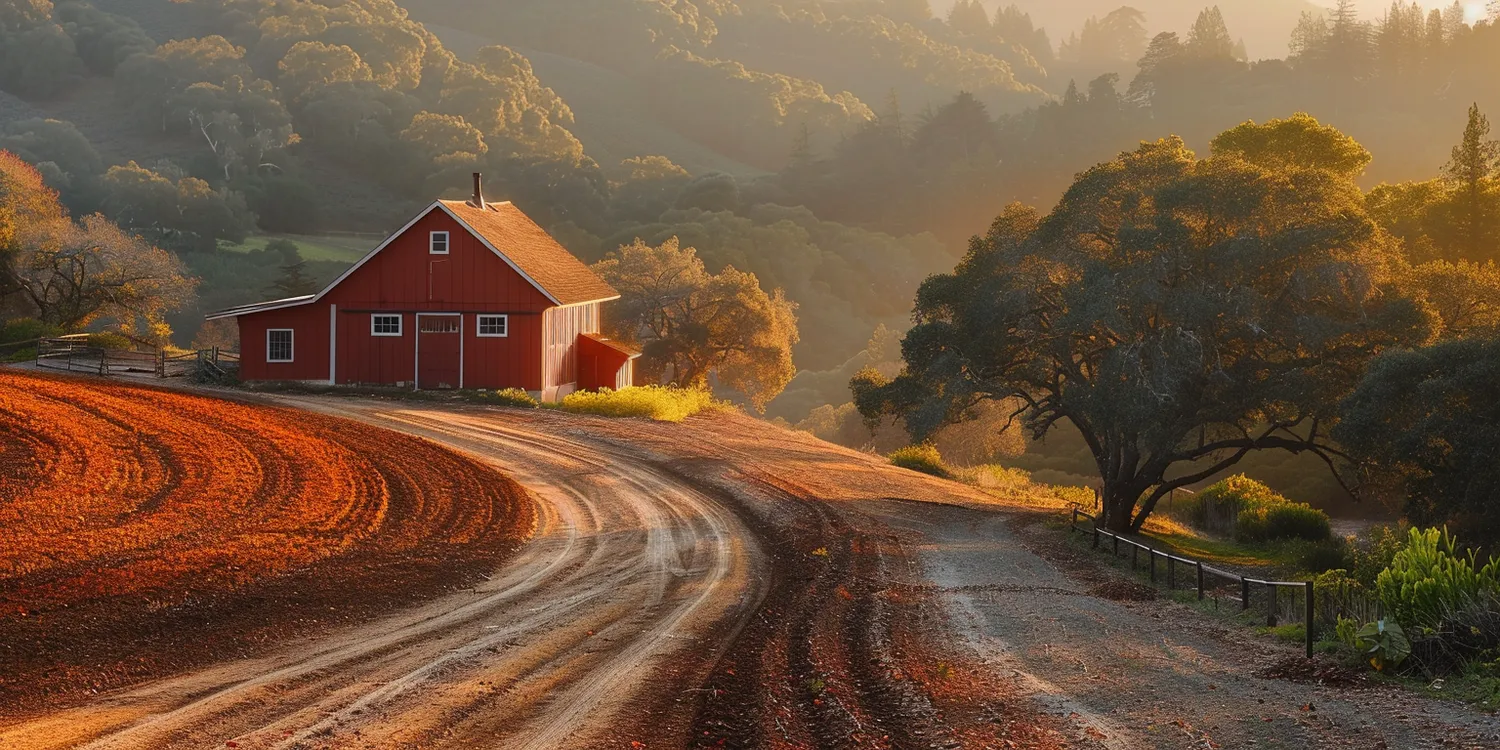 Agroturystyka dla dzieci ze zwierzętami kujawsko pomorskie