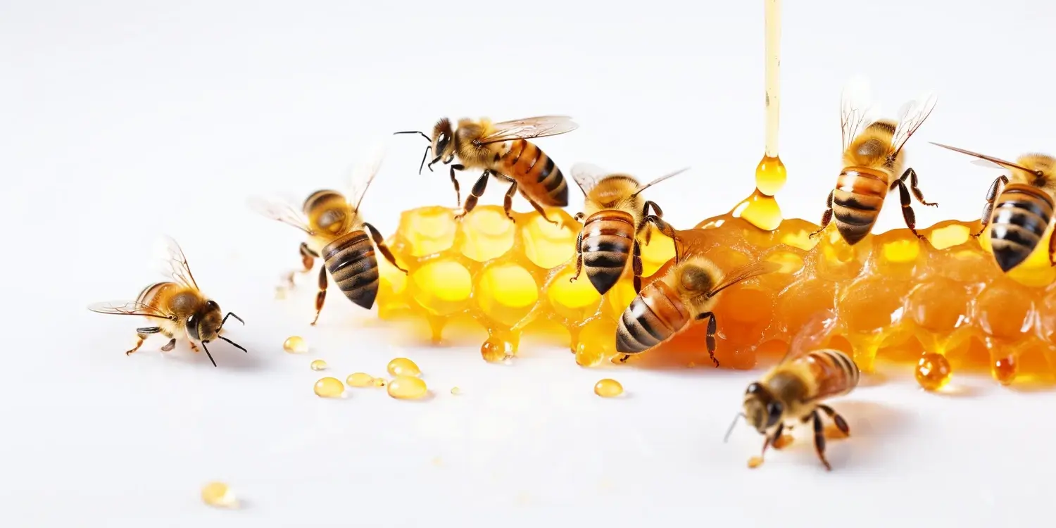 Miód gryczany na wzmocnienie odporności