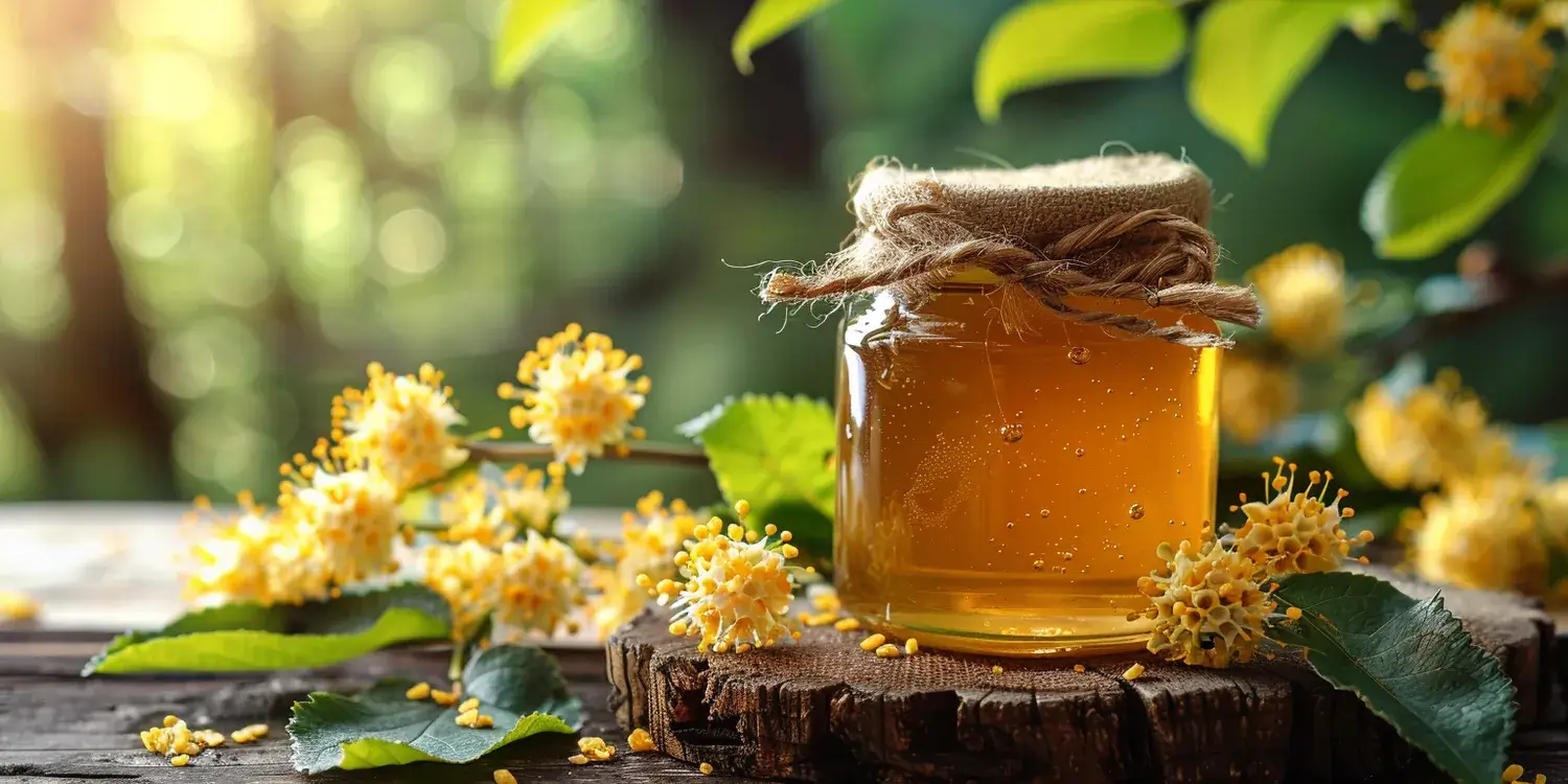 Miód nektarowo spadziowy jego właściwości zdrowotne